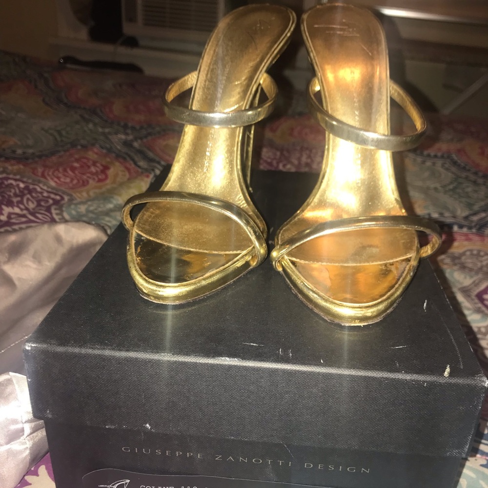 Giuseppe Zanotti “coline 110